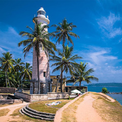Galle
