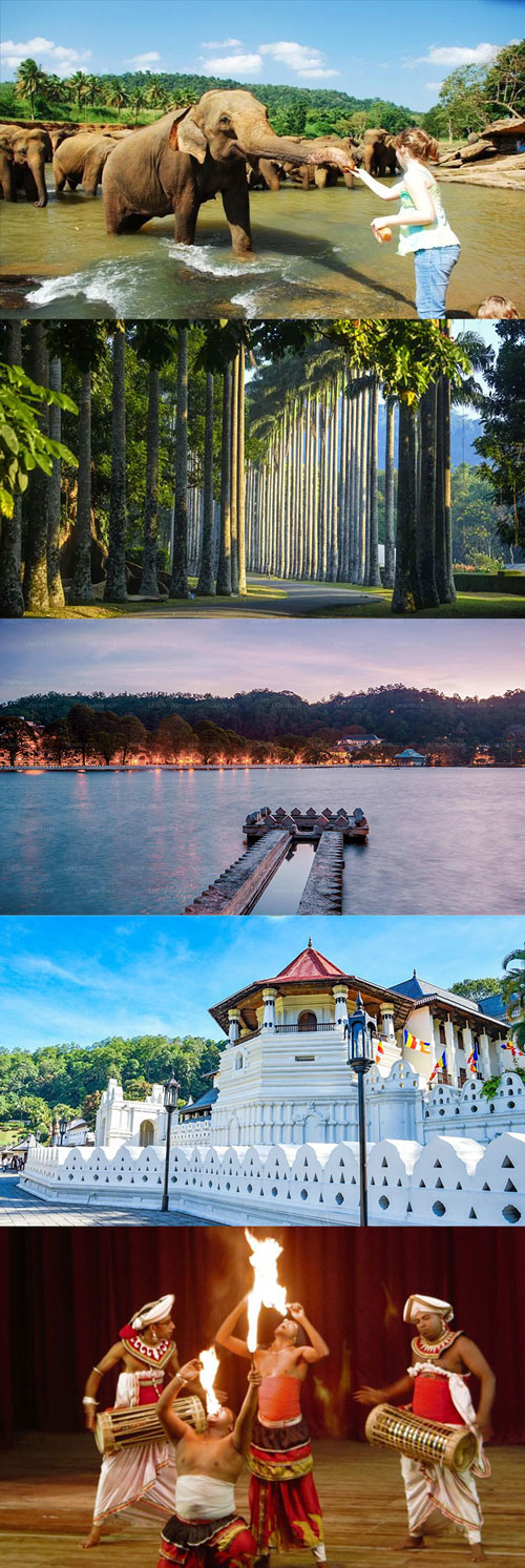 Colombo to Kandy – Elephant Encounters & Cultural Heritage